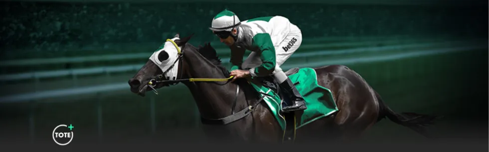 郑钦文迪拜,网球赛不敌,斯特恩斯,世界杯转播,2026世界杯,赛事直播,全球转播平台,足球赛事分析