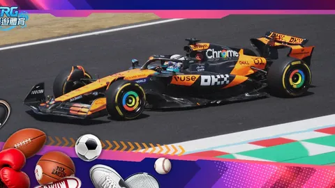 “爱尔兰少年探秘：感受婺剧服饰风情”