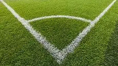 兰星宇在世界杯吊环项目中荣获金牌，央视新闻客户端报道